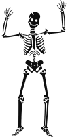 skeleton-151170_1280.png